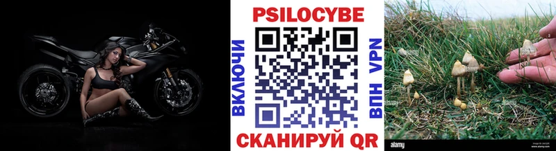 Галлюциногенные грибы GOLDEN TEACHER  Елизаветинская 